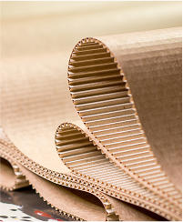 Paper and board industry