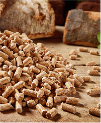 Wood and pellet industry