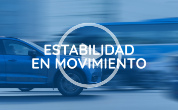 Stability in motion