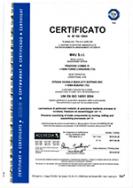 ISO 14001 - ICSA Industria Cuscinetti S.p.A.
