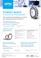Synergy basics training program