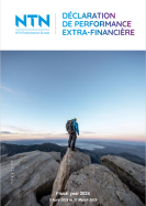 DPEF NTN TE 2025